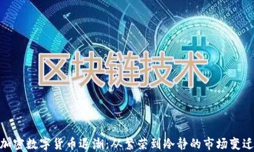 
加密数字货币退潮：从繁荣到冷静的市场变迁