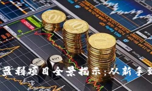 2023年加密货币盈利项目全景揭示：从新手到高手的财富之路
