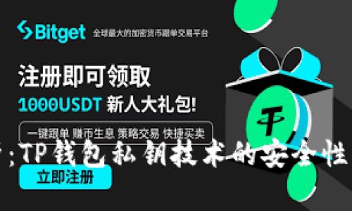 深入解析：TP钱包私钥技术的安全性与实用性