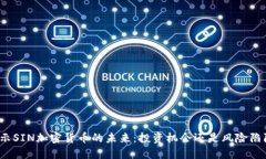 揭示SIN加密货币的未来：投资机会还是风险陷阱