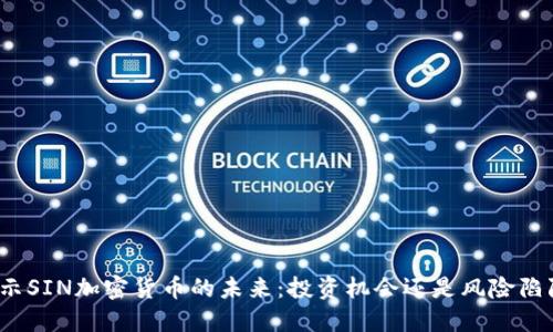 揭示SIN加密货币的未来：投资机会还是风险陷阱？