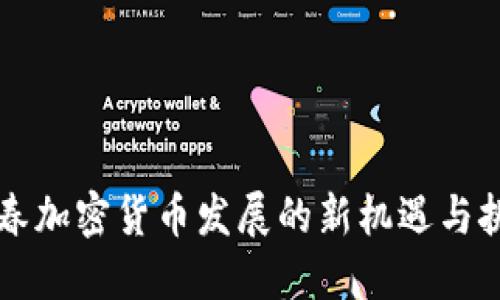 阳春加密货币发展的新机遇与挑战