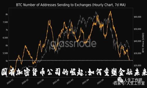 国有加密货币公司的崛起：如何重塑金融未来