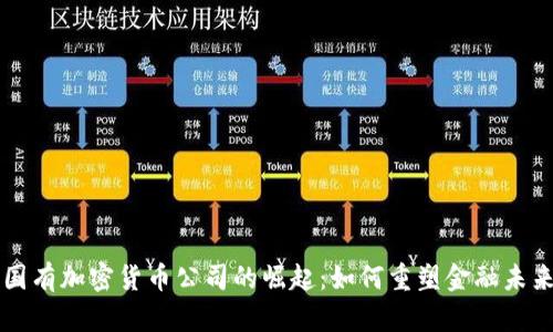 国有加密货币公司的崛起：如何重塑金融未来