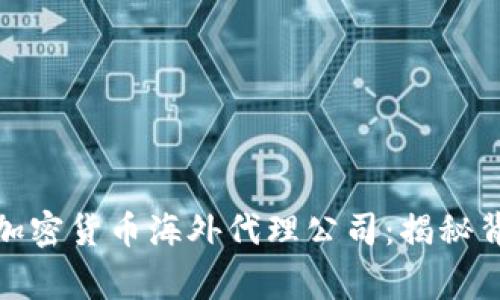 如何选择适合的加密货币海外代理公司：揭秘背后的故事与策略