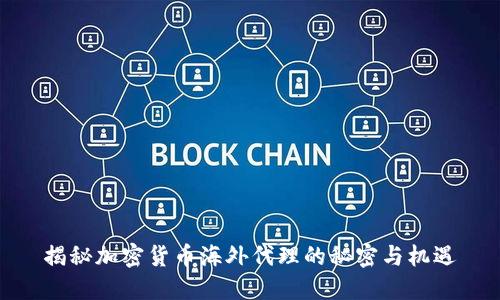 揭秘加密货币海外代理的秘密与机遇
