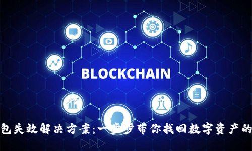 TP钱包失效解决方案：一步步带你找回数字资产的安全