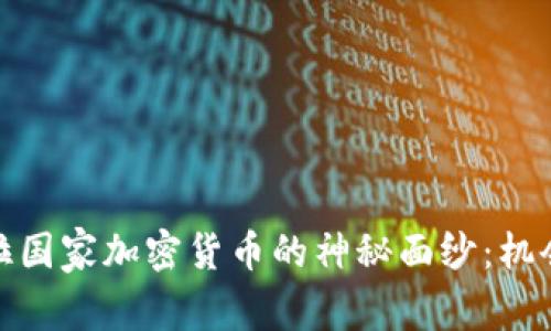 揭开委内瑞拉国家加密货币的神秘面纱：机会与挑战并存