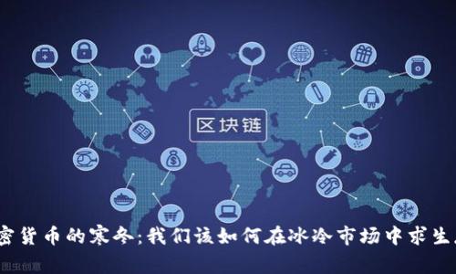 加密货币的寒冬：我们该如何在冰冷市场中求生存？