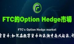 Verge加密货币：如何在数字货币的浪潮中南风起浪