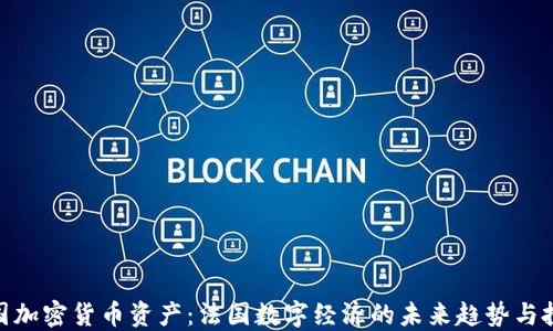 
探索法国加密货币资产：法国数字经济的未来趋势与投资机会
