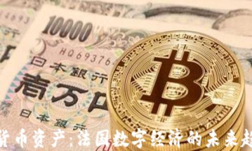 
探索法国加密货币资产：法国数字经济的未来趋势与投资机会