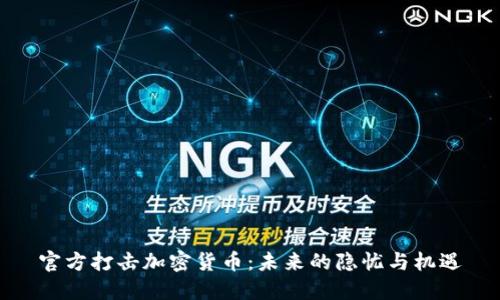 官方打击加密货币：未来的隐忧与机遇