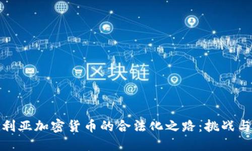 尼日利亚加密货币的合法化之路：挑战与机遇