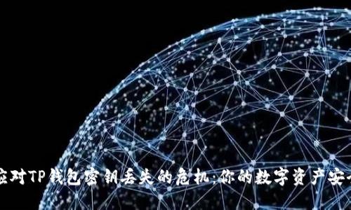 如何应对TP钱包密钥丢失的危机：你的数字资产安全指南