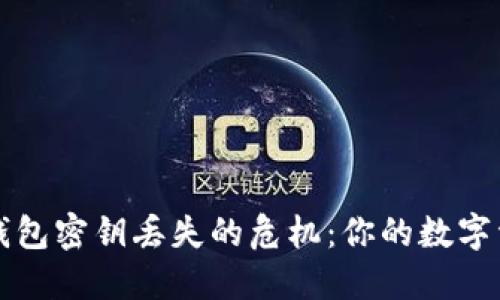 如何应对TP钱包密钥丢失的危机：你的数字资产安全指南