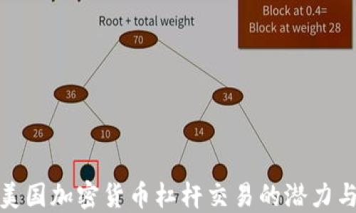 
揭秘美国加密货币杠杆交易的潜力与风险