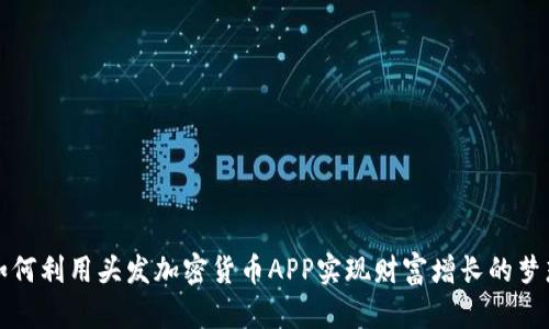 如何利用头发加密货币APP实现财富增长的梦想