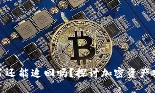 TP钱包被骗钱了还能追回吗？探讨加密资产安全与维权之道