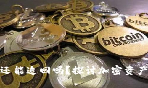 TP钱包被骗钱了还能追回吗？探讨加密资产安全与维权之道