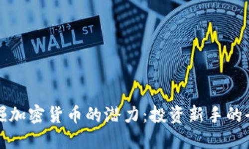如何发掘加密货币的潜力：投资新手的全面指南