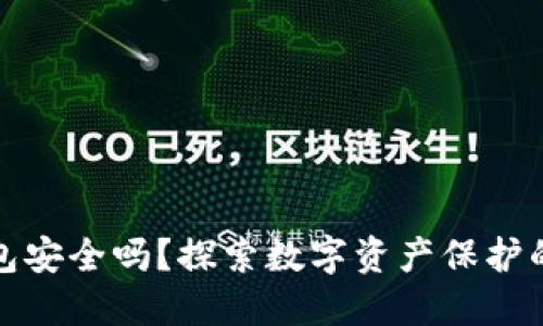 TP联网钱包安全吗？探索数字资产保护的最新动态