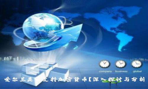 爱尔兰是否支持加密货币？深入探讨与分析