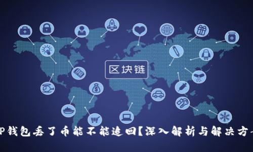 TP钱包丢了币能不能追回？深入解析与解决方案
