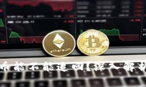 TP钱包丢了币能不能追回？深入解析与解决方案