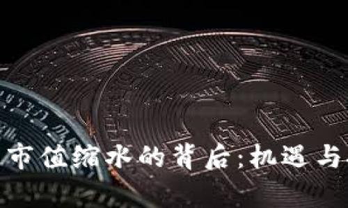 加密货币市值缩水的背后：机遇与挑战并存