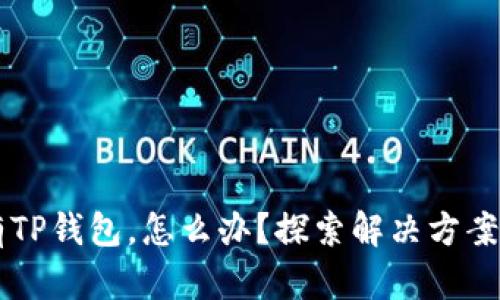 手机上没有TP钱包，怎么办？探索解决方案与替代选择