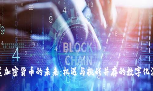 拉美加密货币的未来：机遇与挑战并存的数字化浪潮