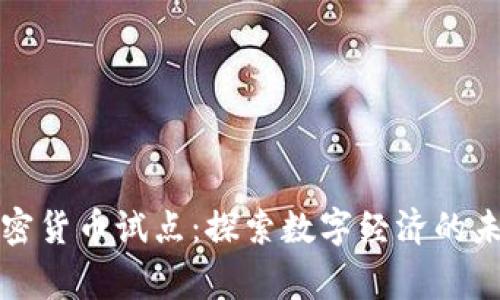 国家加密货币试点：探索数字经济的未来之路