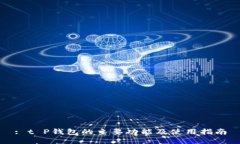 : t P钱包的主要功能及使用指南