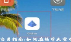 马尔代夫加密货币交易指南：如何在热带天堂中