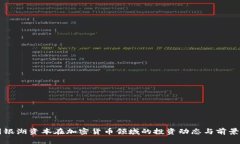 美国银湖资本在加密货币领域的投资动态与前景