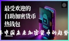 :2023年中国未来加密货币的趋势与发展